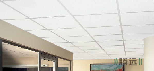 玻纤花天板-直角边